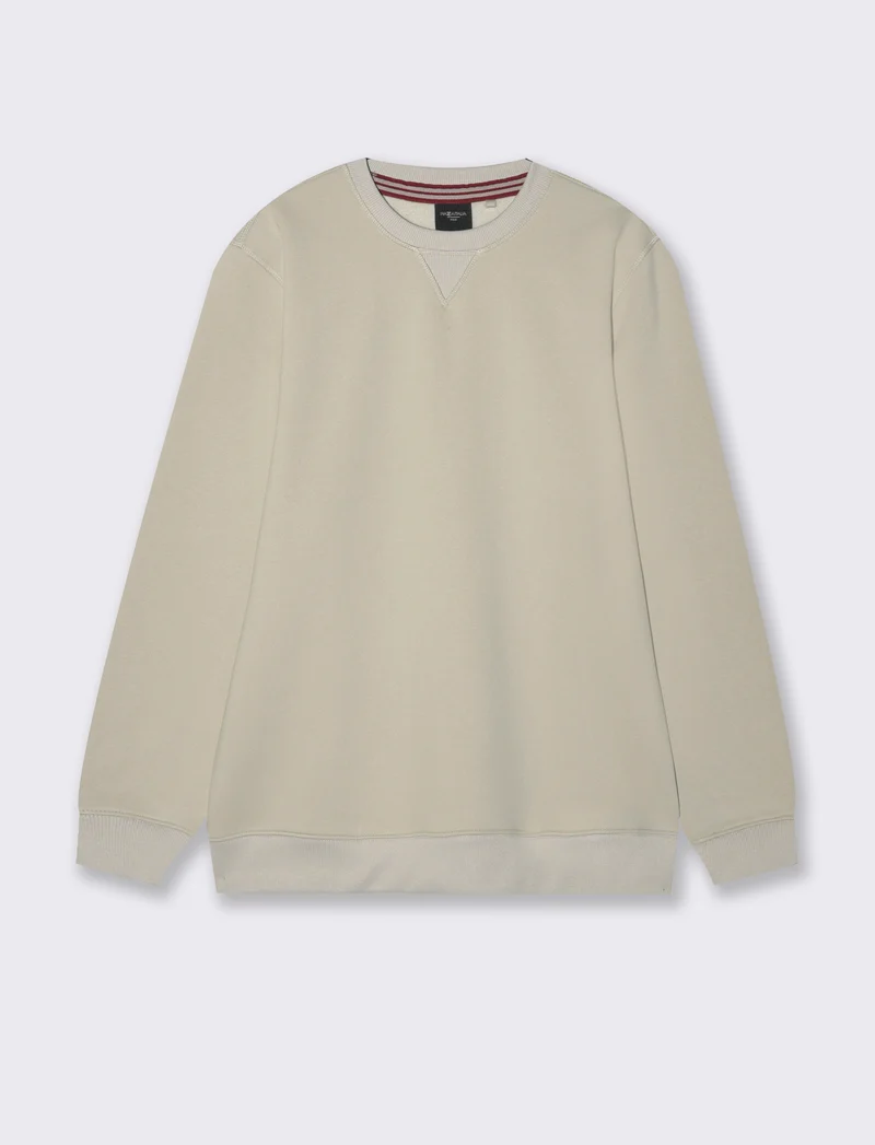 FELPA BASIC GIROCOLLO - Grigio ghiaccio